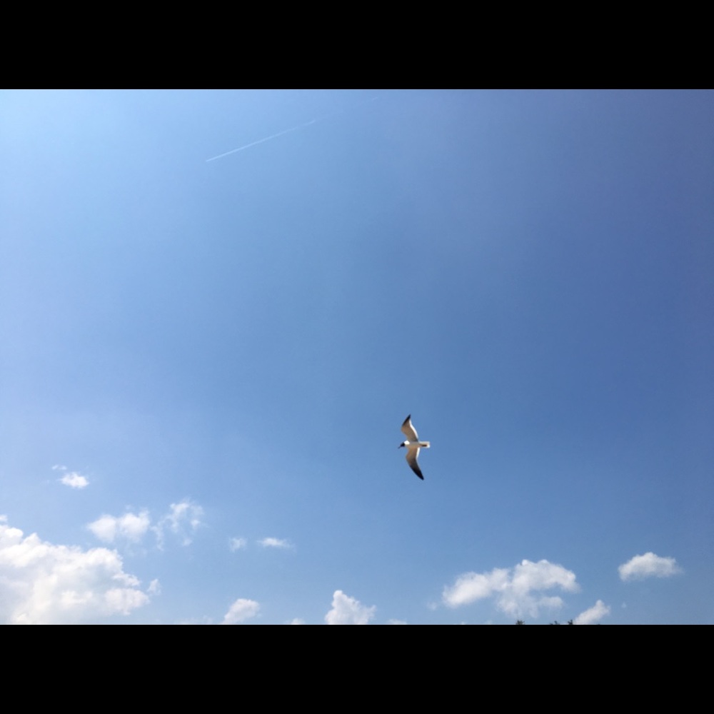 Meet your Posher, Kay